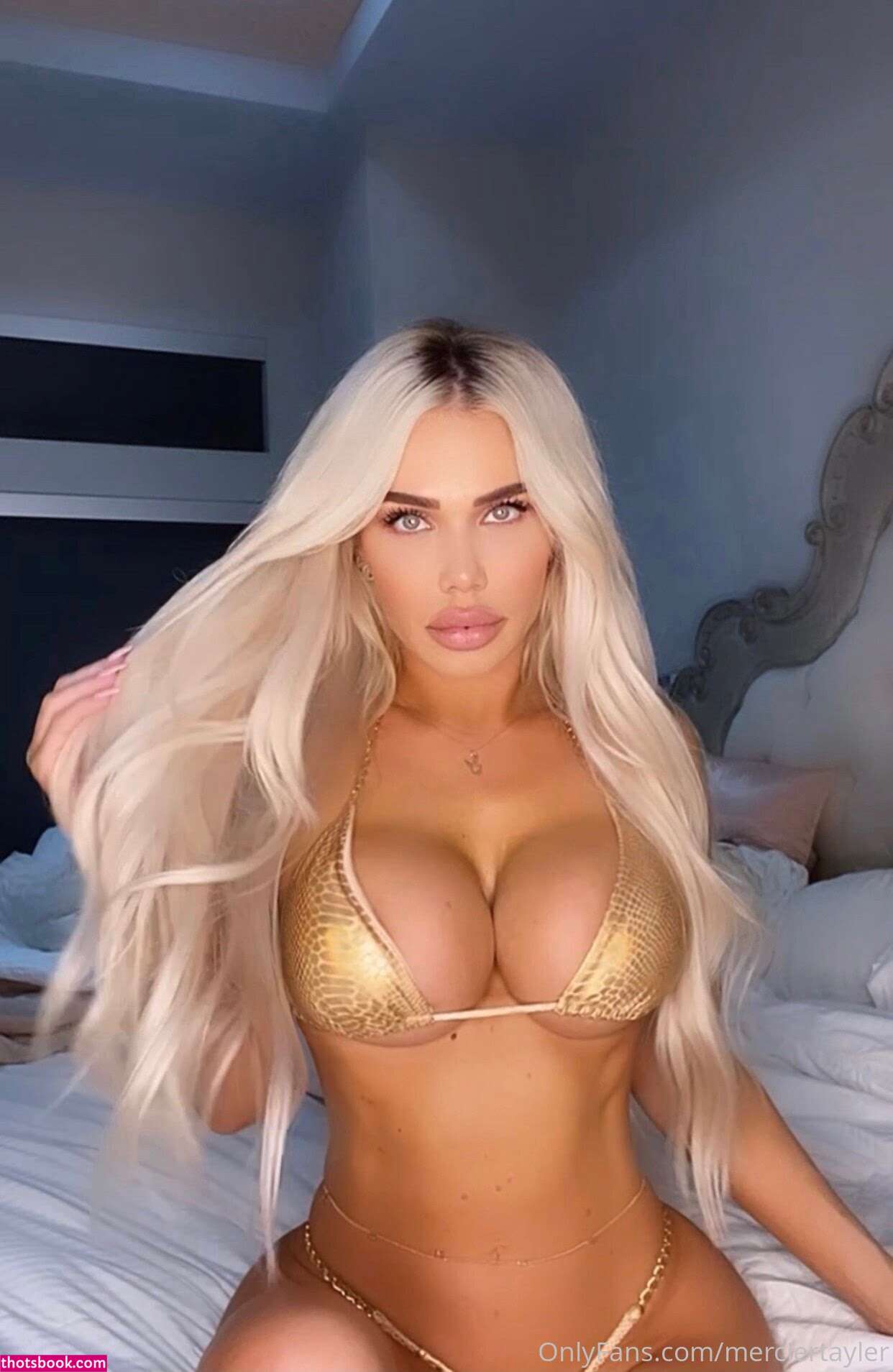 Tayler Mercier Photo #185