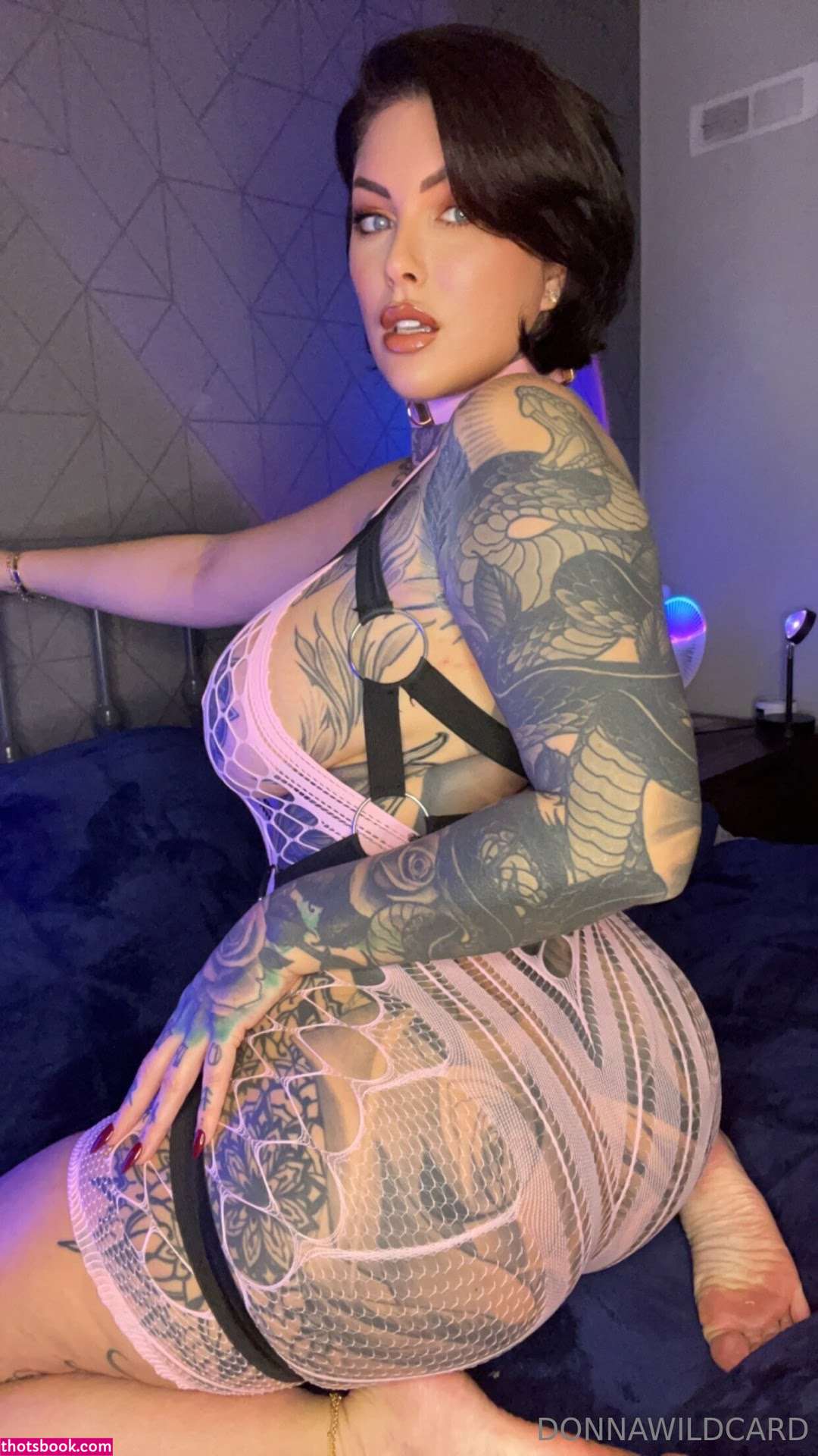 Donna Wildcard Photo #964