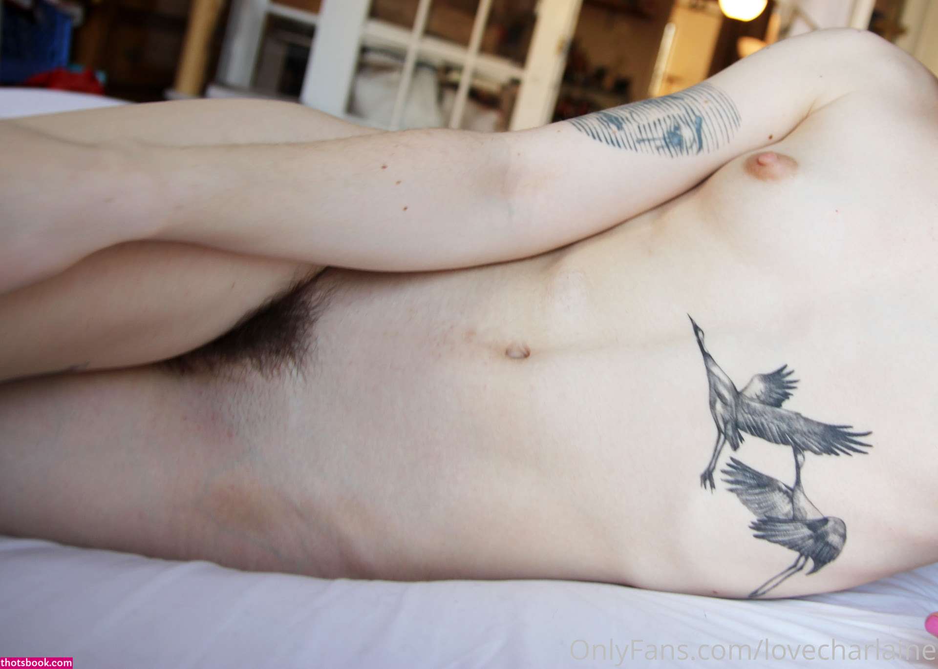 lovecharlaine Photo #225