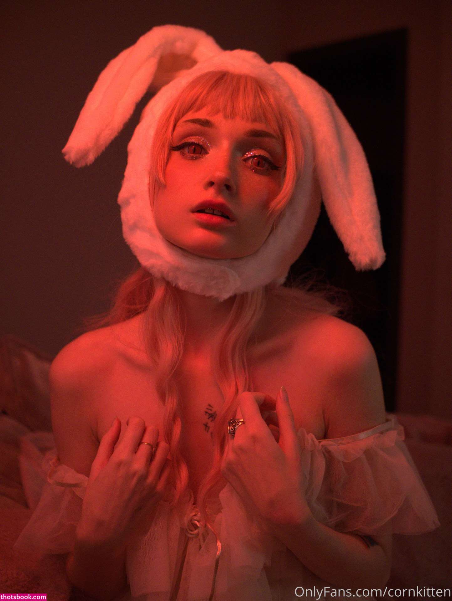 cornkitten Photo #184