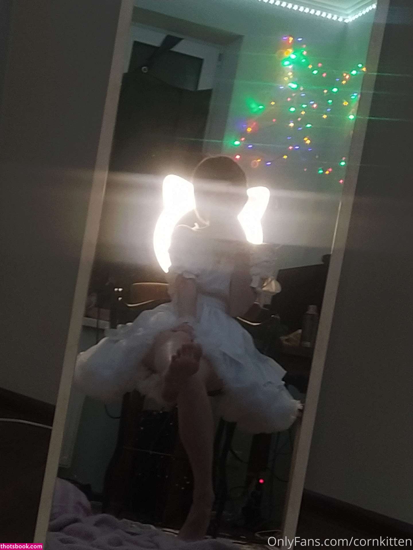 cornkitten Photo #230