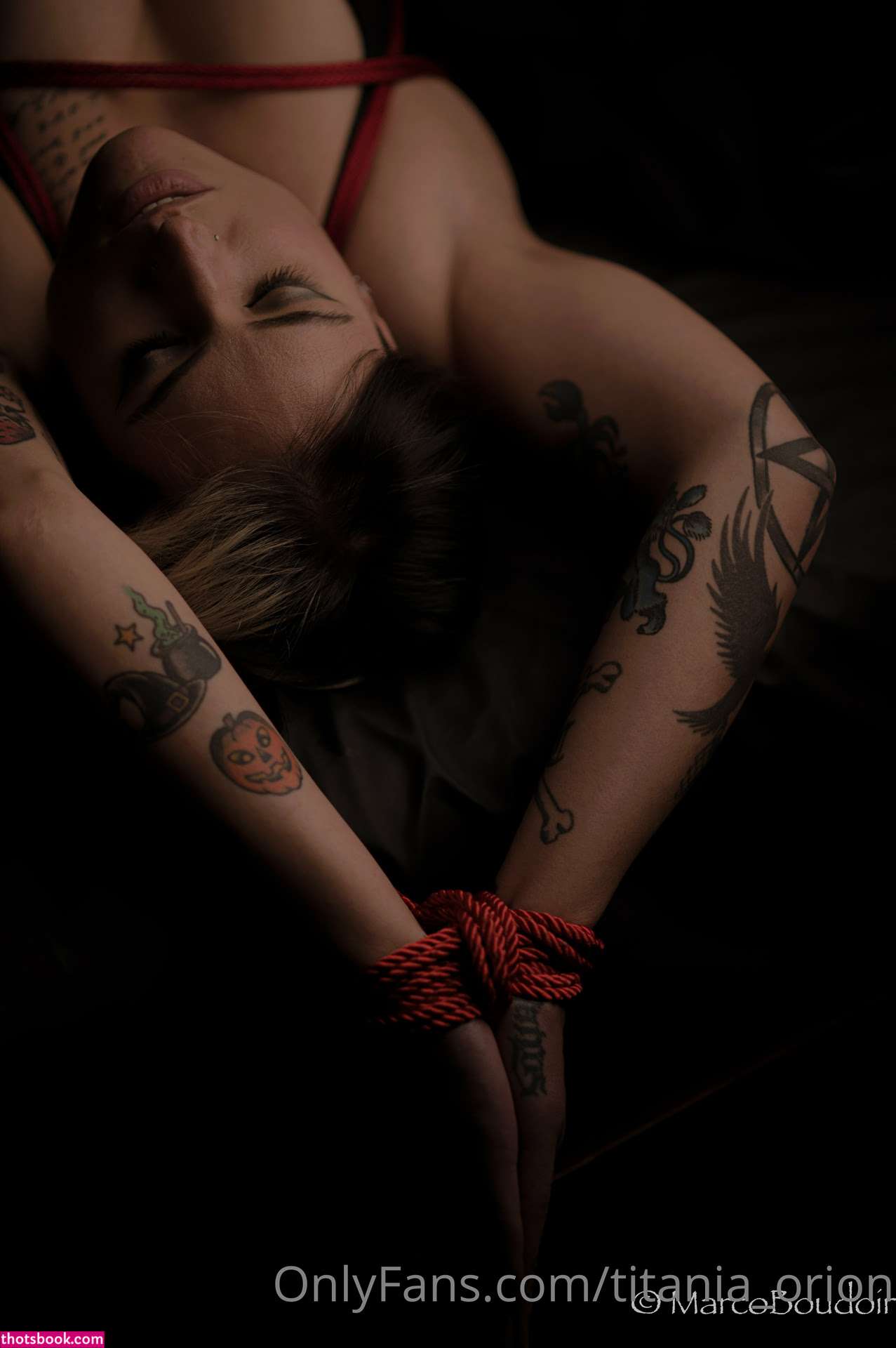 Titania Orion Photo #121