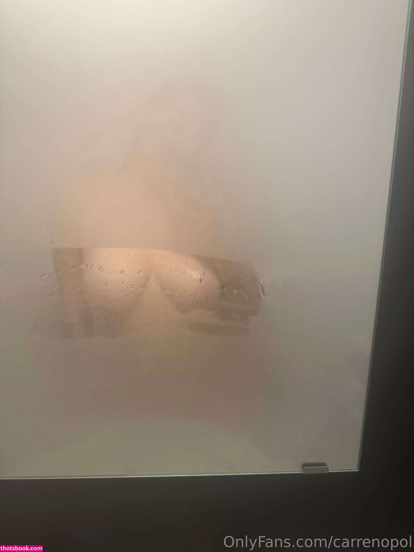 Carrenopol Photo #101