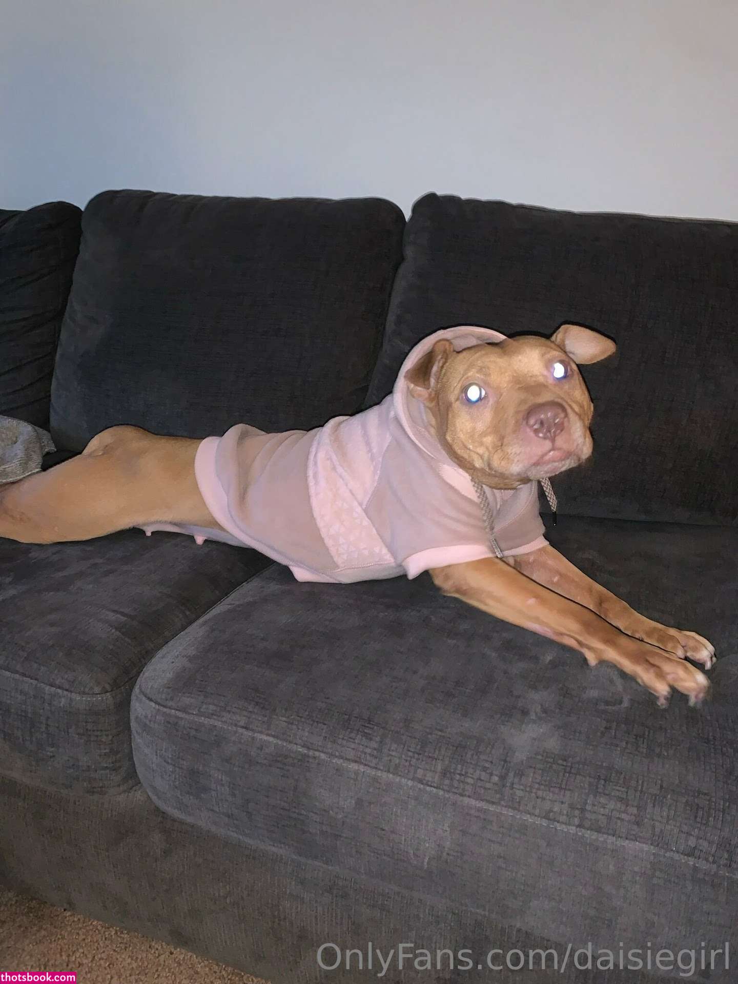 dimepiece Photo #277