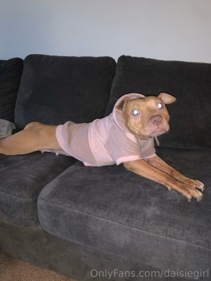 dimepiece Photo #277