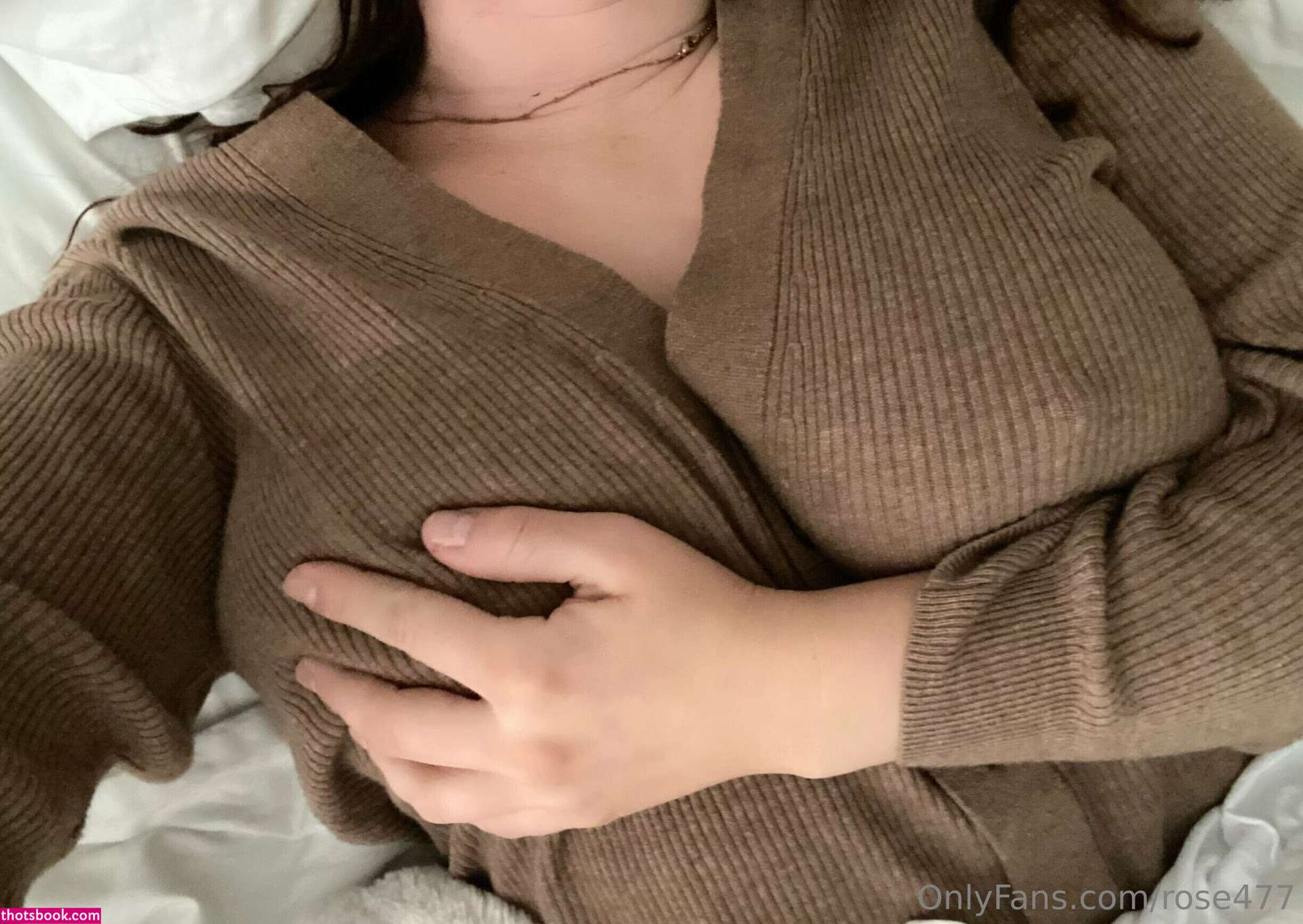 Rose ASMR Photo #110