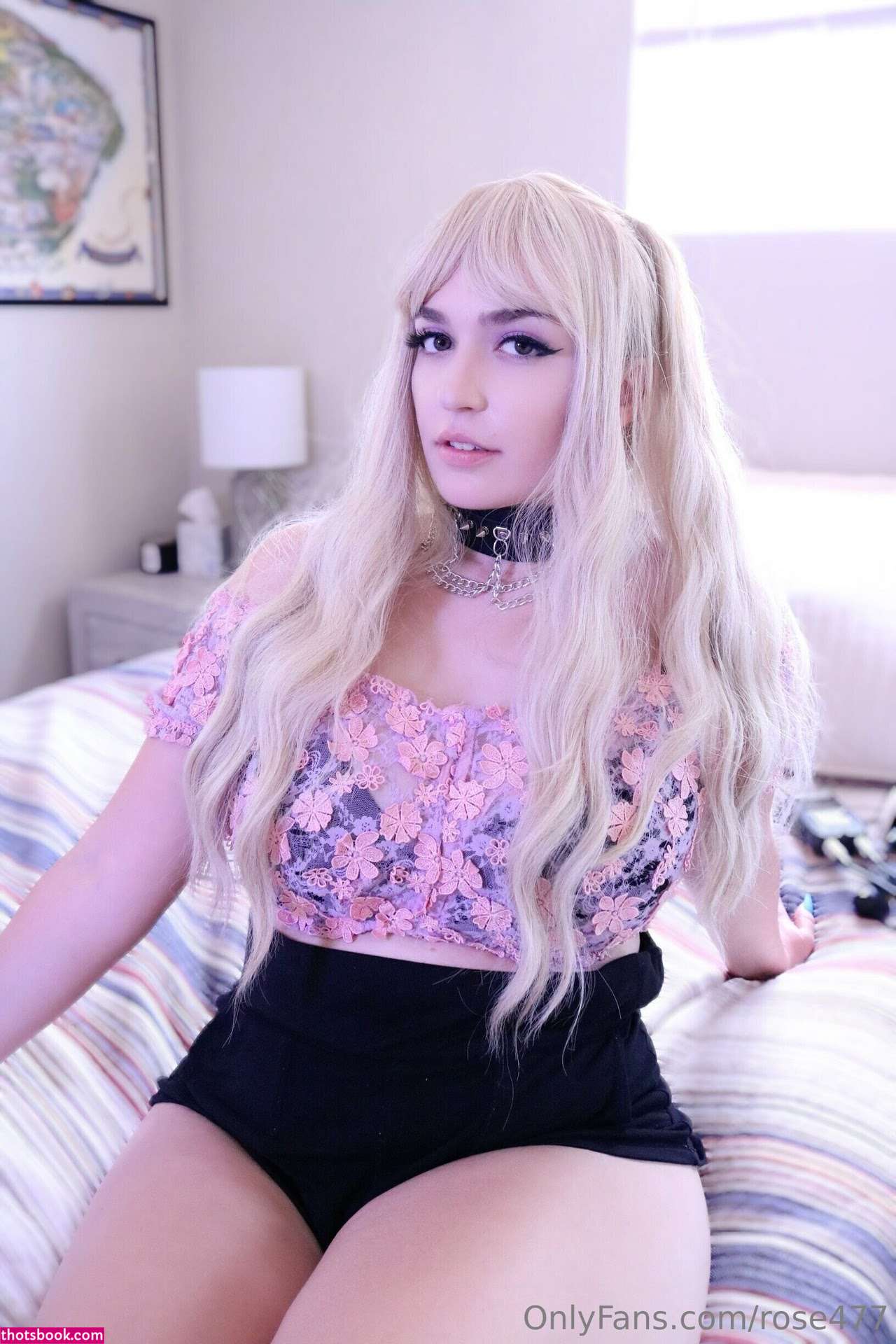 Rose ASMR Photo #118