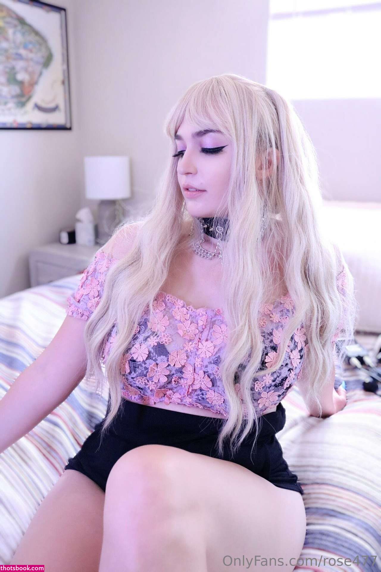 Rose ASMR Photo #120