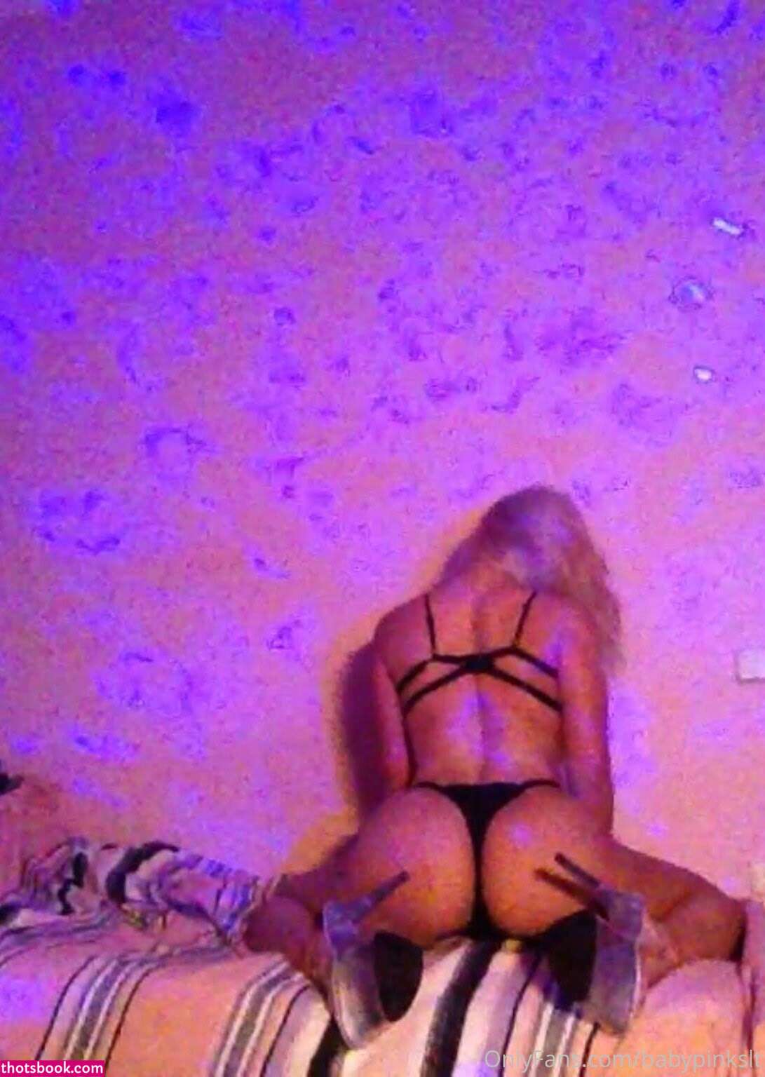 Palepinklibra Photo #93