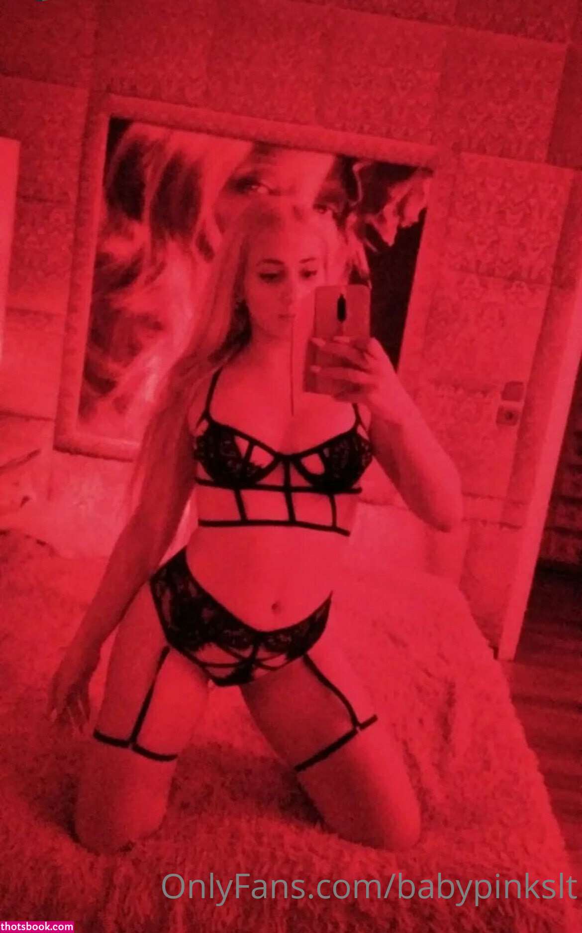 Palepinklibra Photo #105