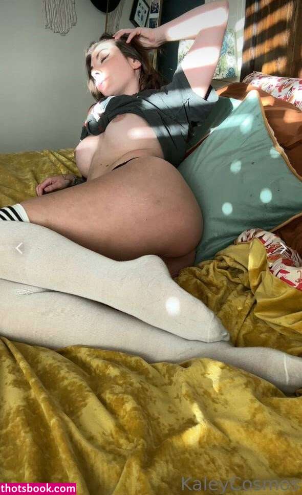 Wineoperator Photo #67