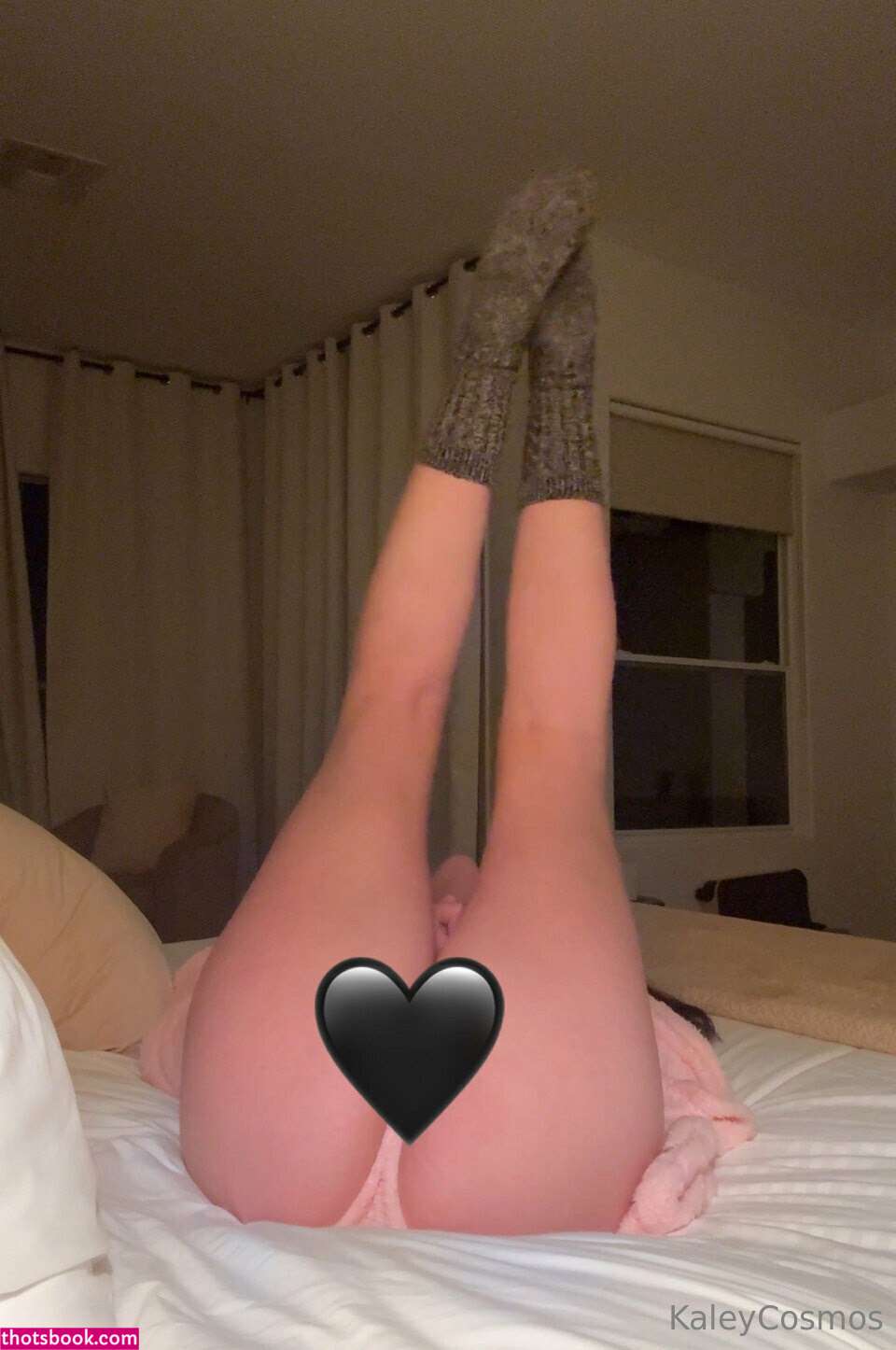 Wineoperator Photo #76