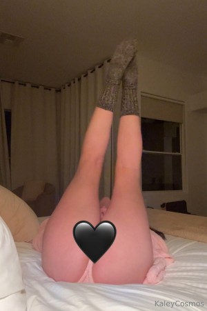 Wineoperator Photo #76