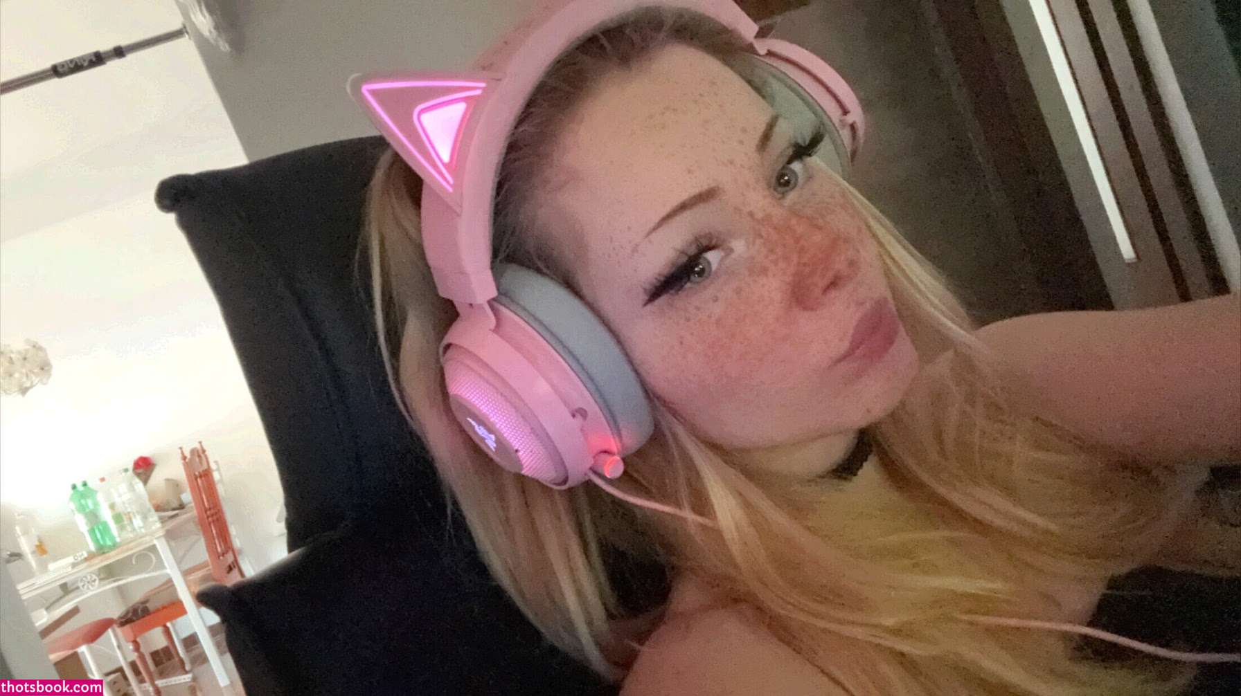 Creator Photo #1824777