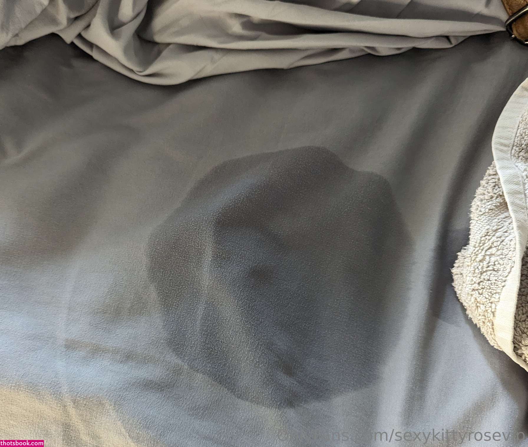 sexykittyrosevip Photo #14