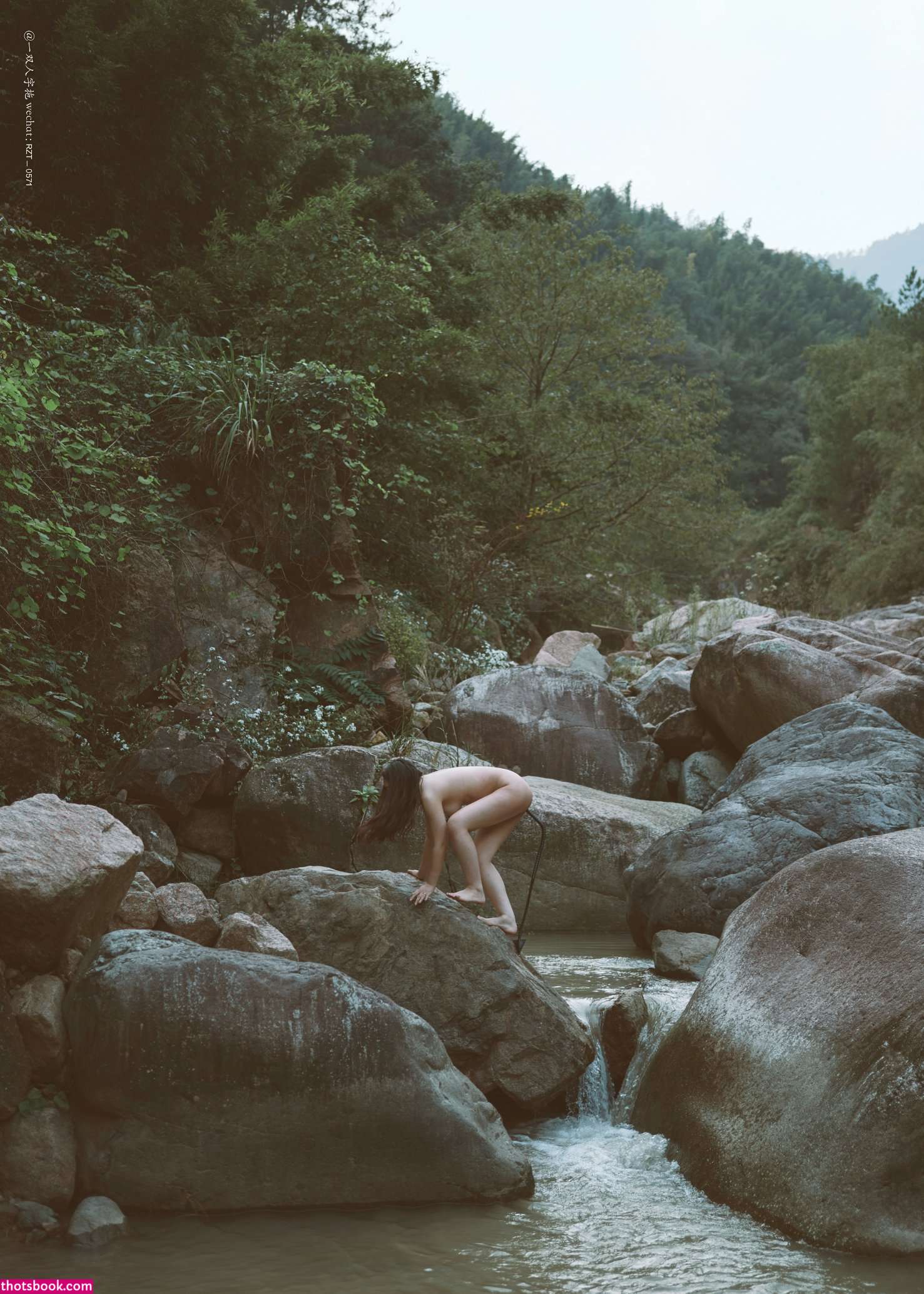 Creator Photo #1819735