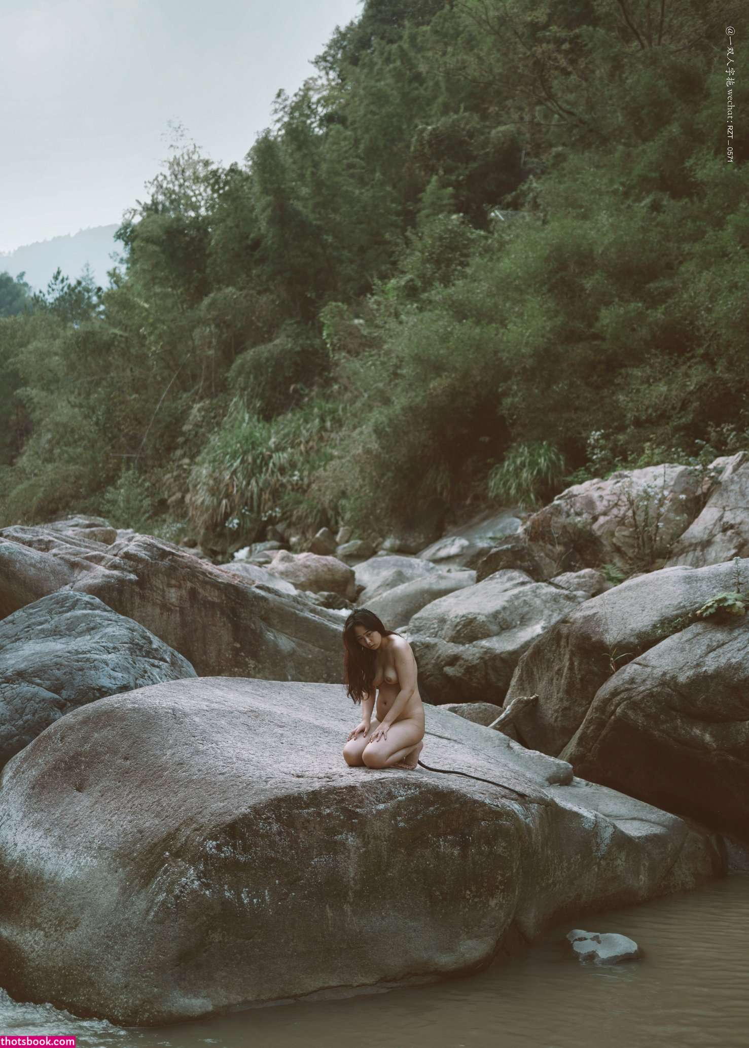 Creator Photo #1819736