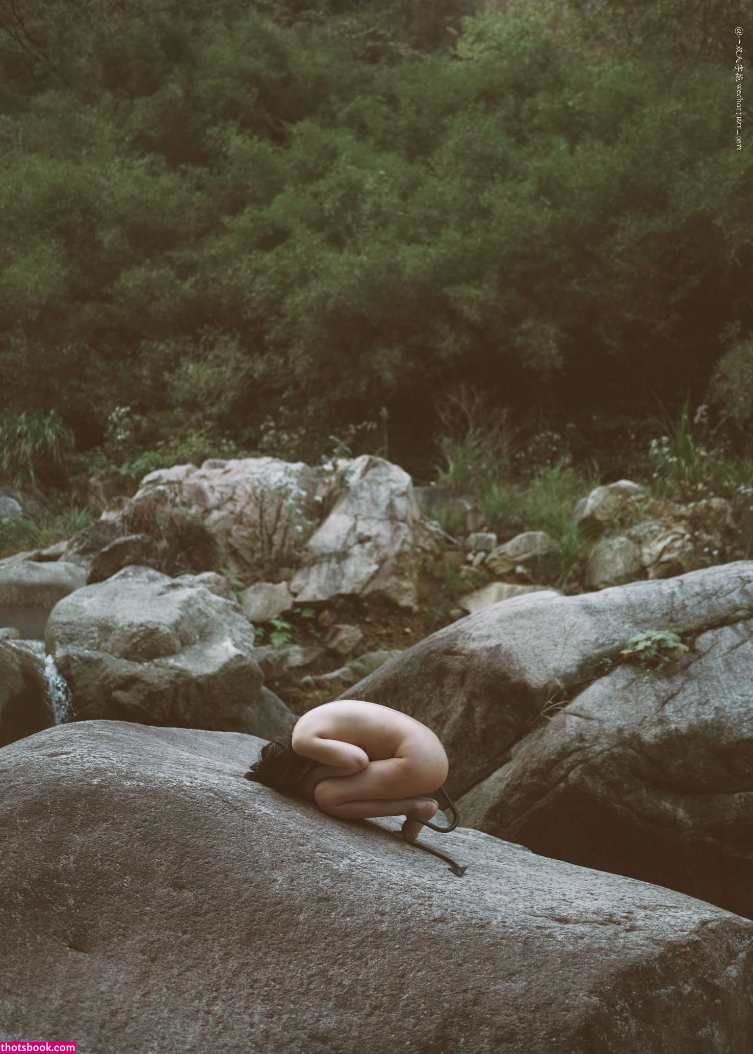 Creator Photo #1819737