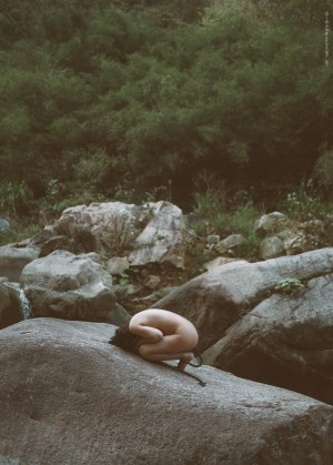 Creator Photo #1819737