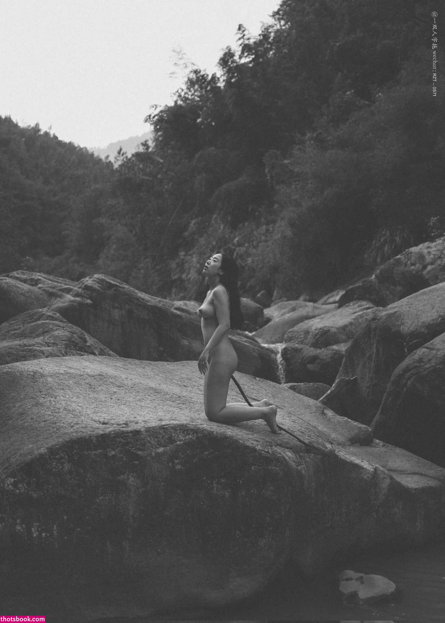 Creator Photo #1819752