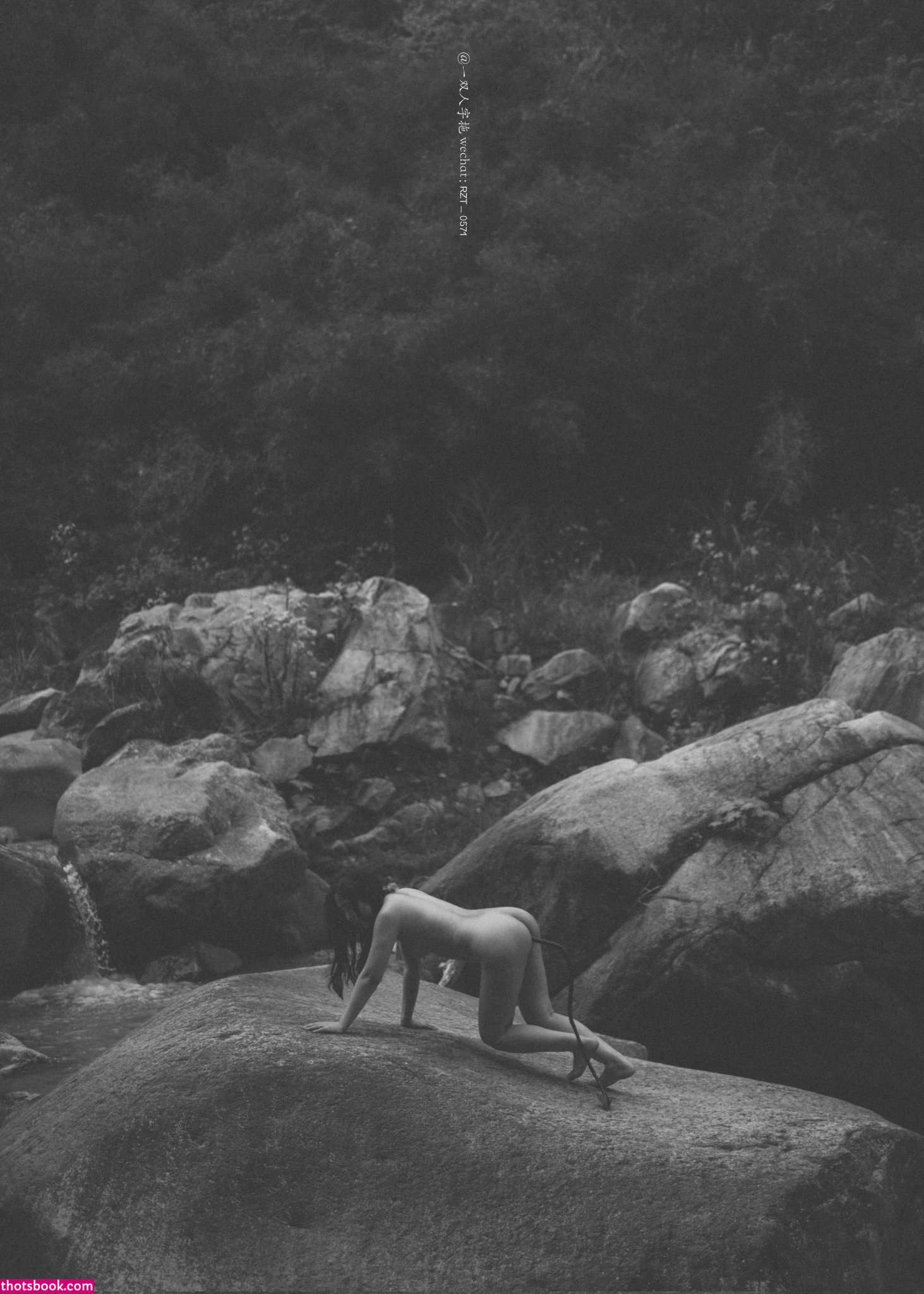 Creator Photo #1819754