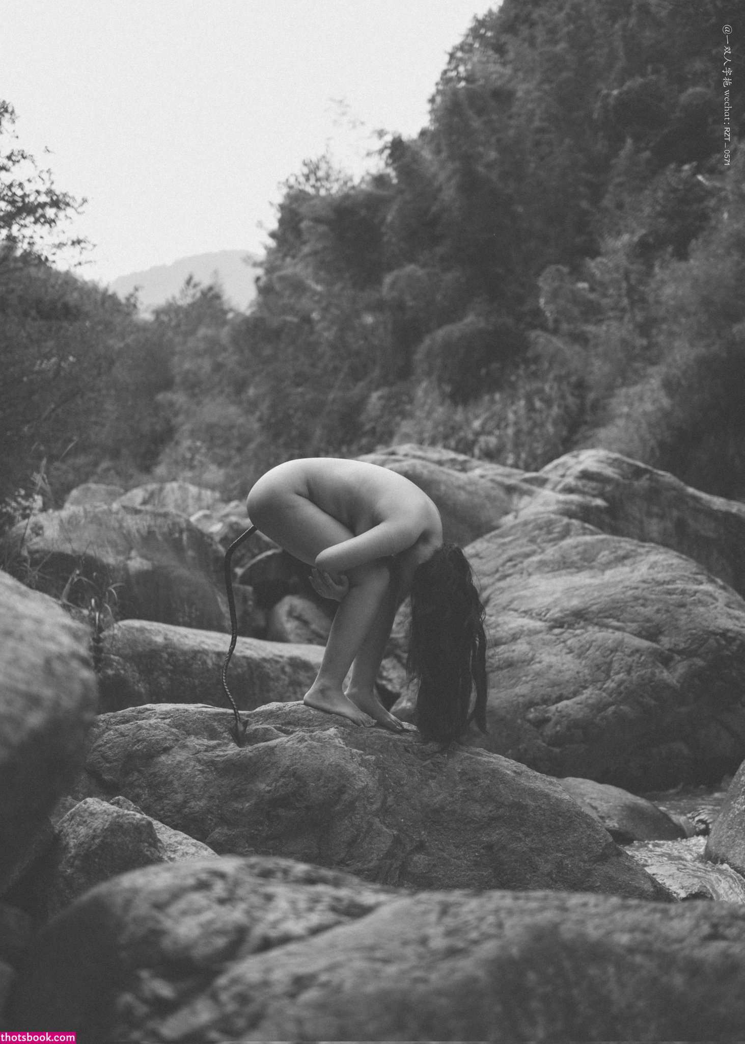 Creator Photo #1819755