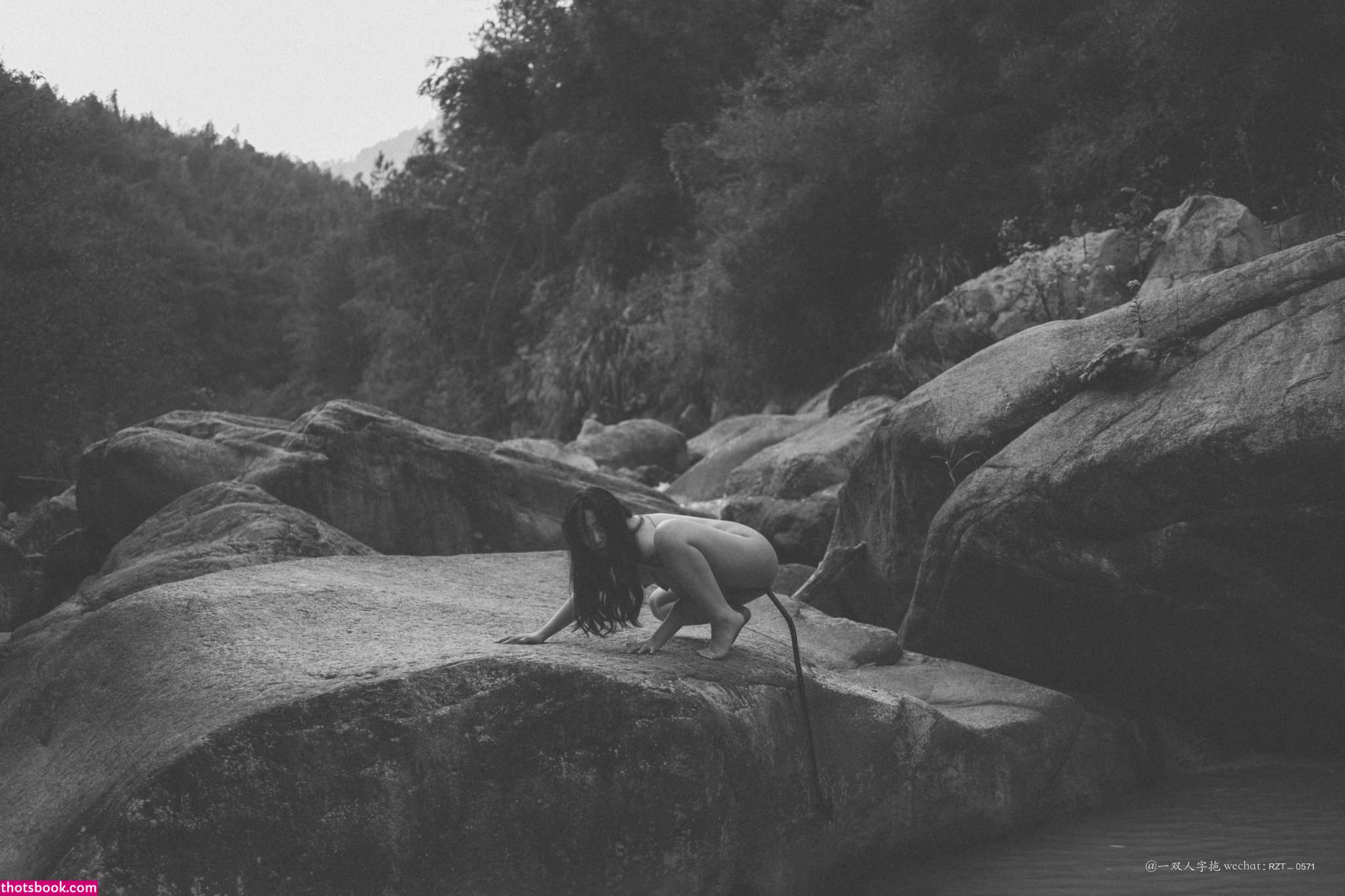 Creator Photo #1819756