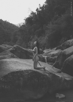 Creator Photo #1819752