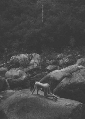 Creator Photo #1819754