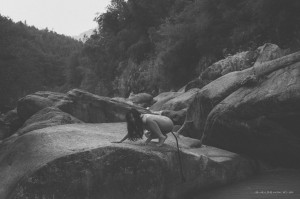 Creator Photo #1819756