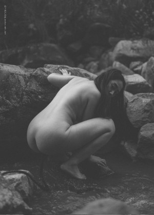 Creator Photo #1819757