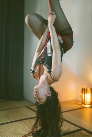 Creator Photo #1819761