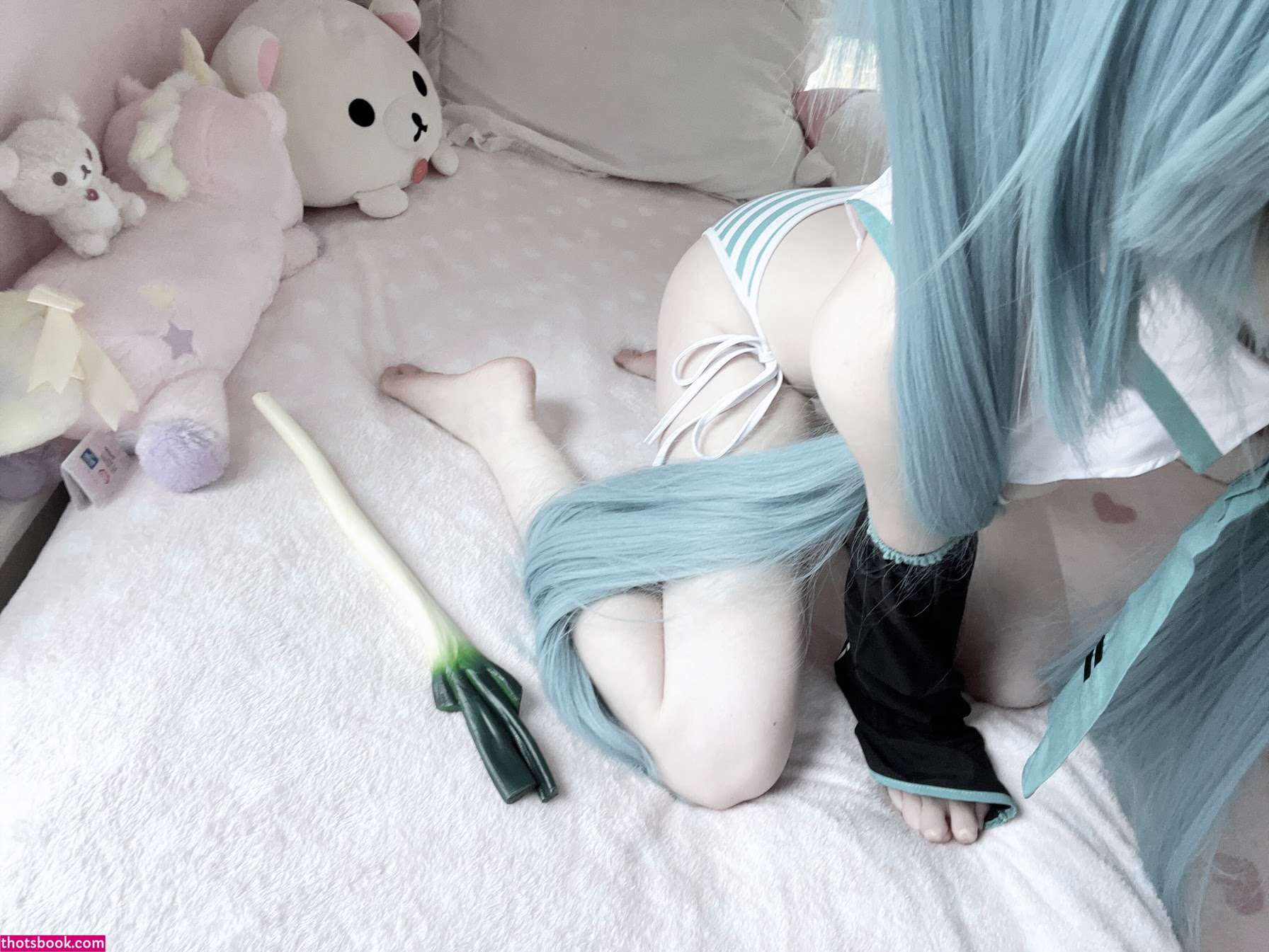 Creator Photo #1801050