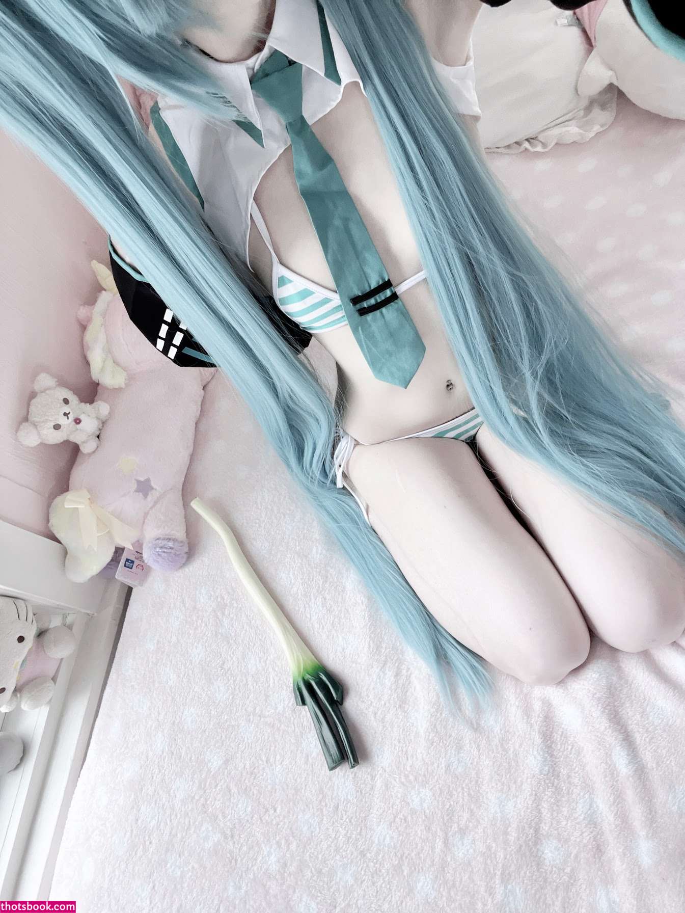 Creator Photo #1801058