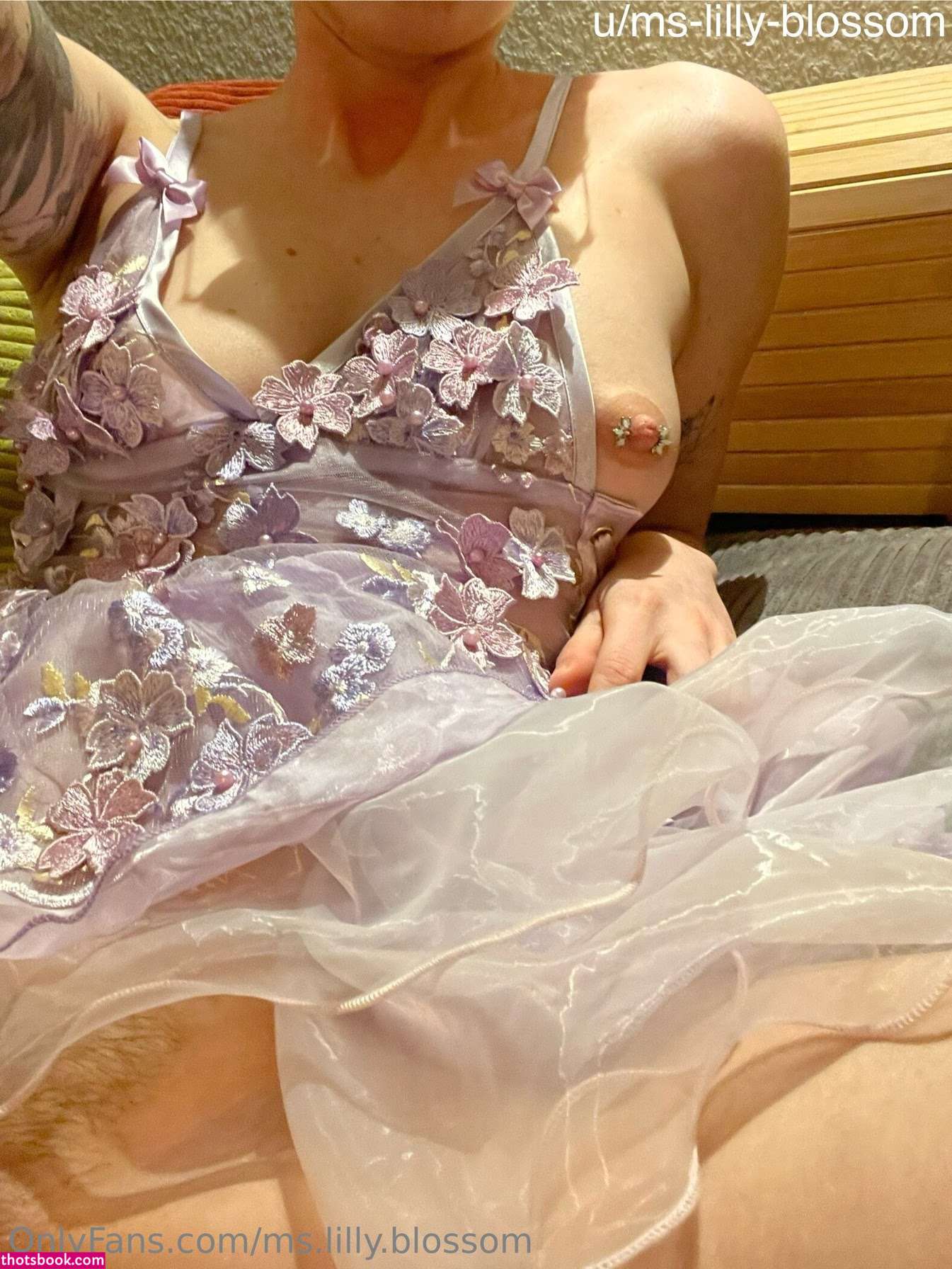 Lilly Blossom Photo #16