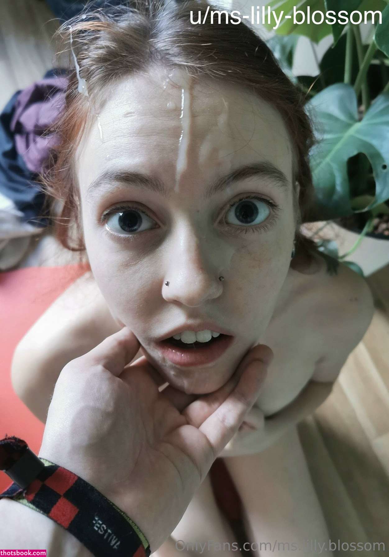 Lilly Blossom Photo #28