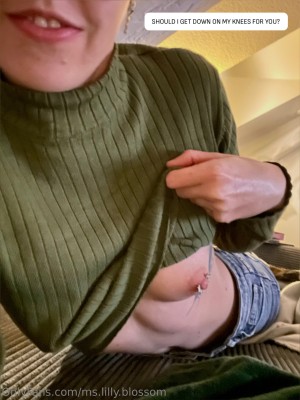 Lilly Blossom Photo #33