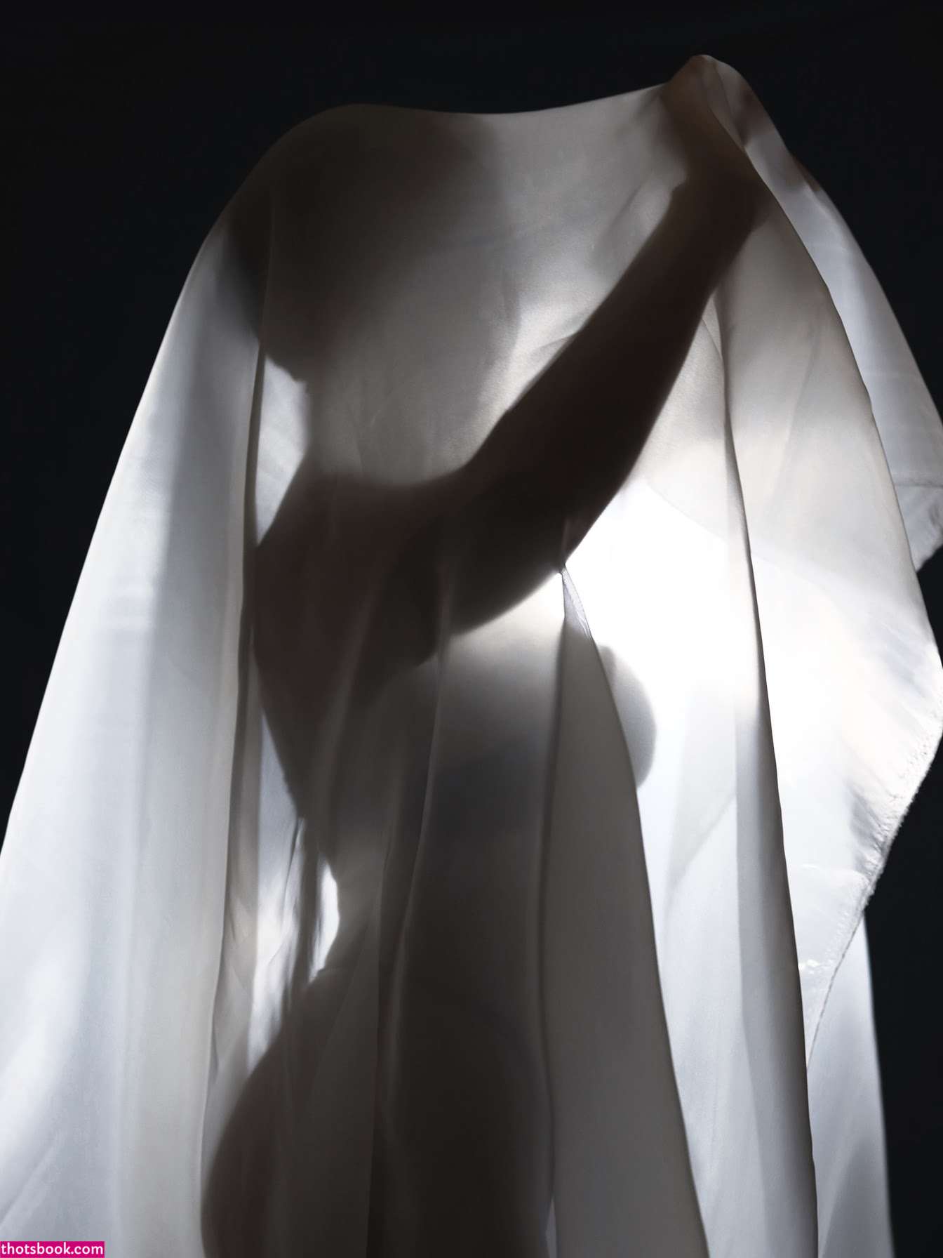 Fa Shadows Photo #24