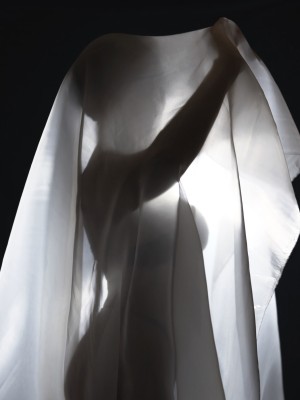 Fa Shadows Photo #24