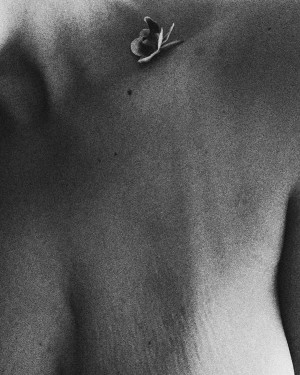 cecinestpasmiri Photo #37