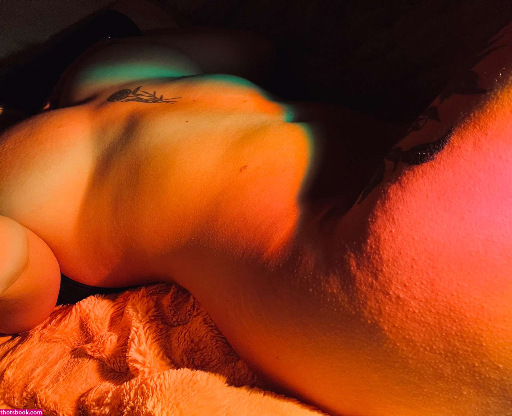 Mrclitbull Photo #55