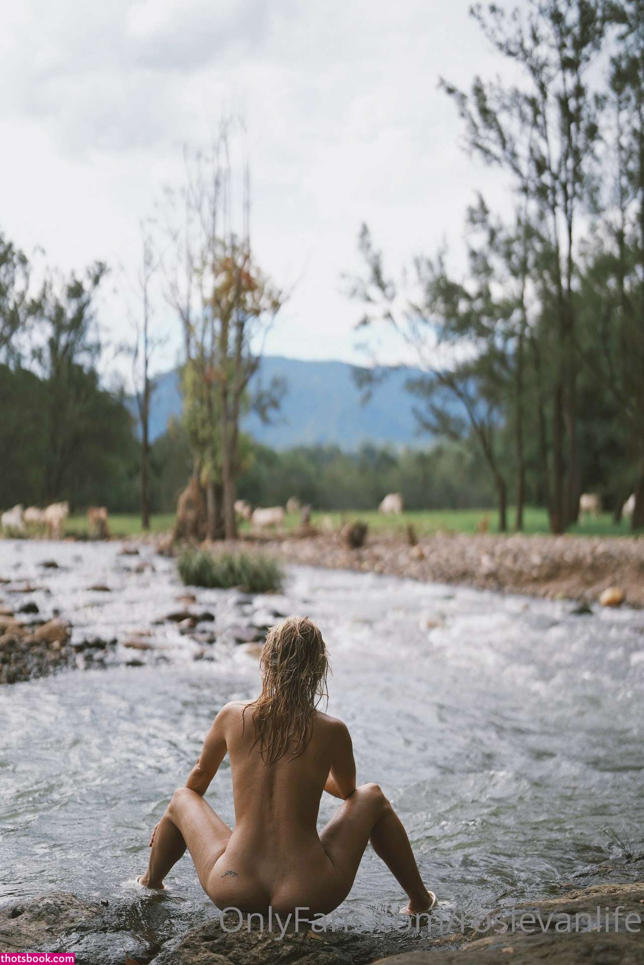 Rosievanlife Photo #27