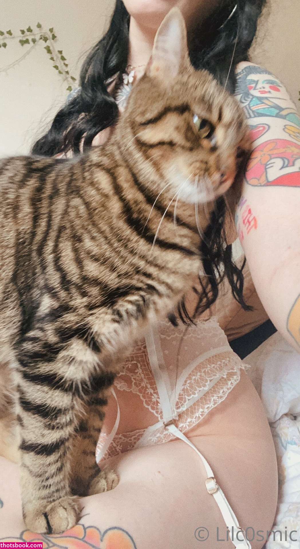 Cosmiccreatures Photo #5