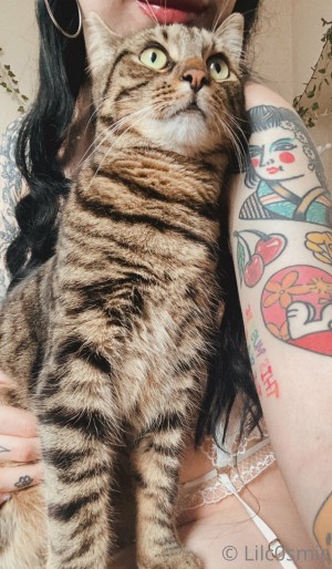 Cosmiccreatures Photo #8