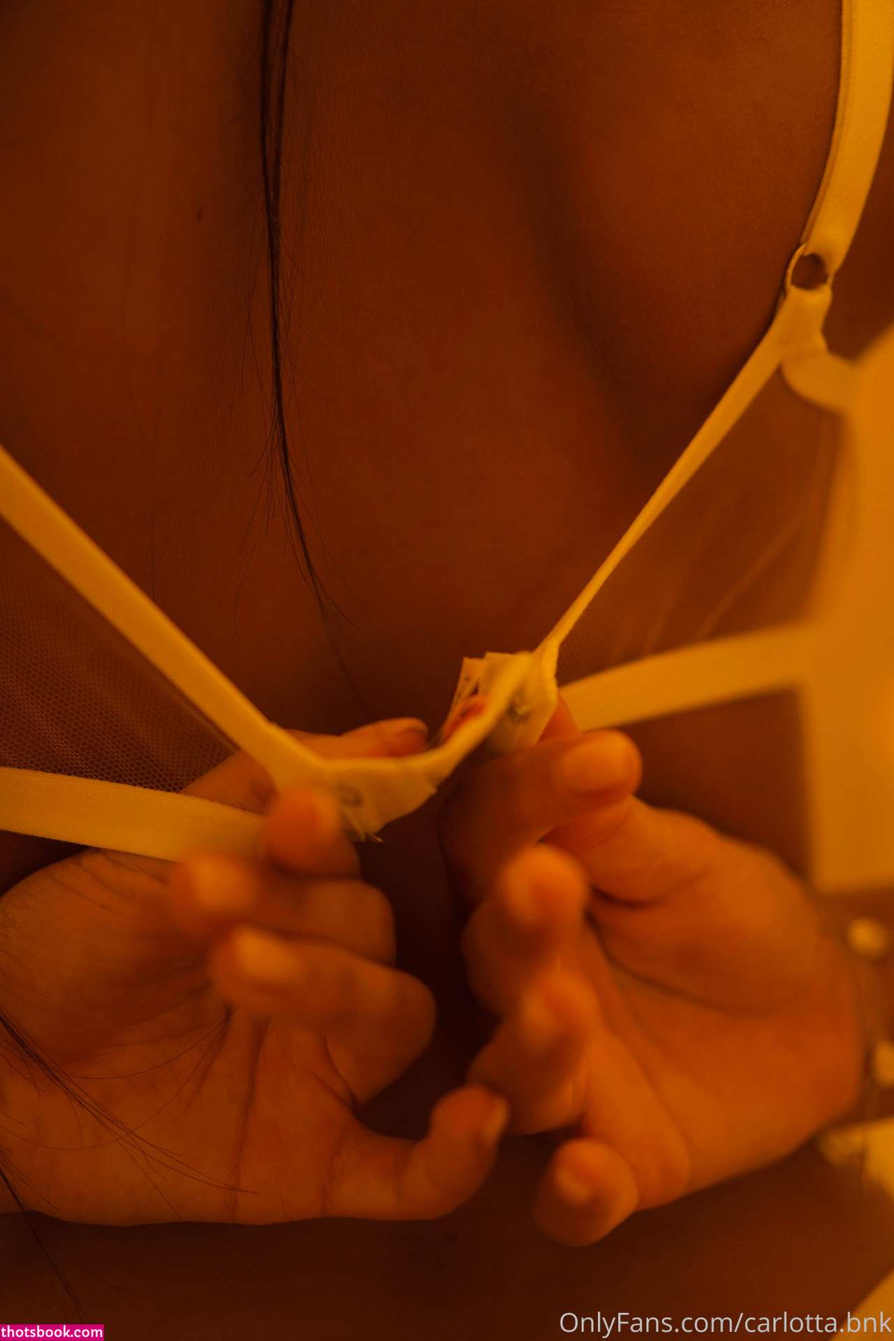 Carlotta Bnk Photo #299