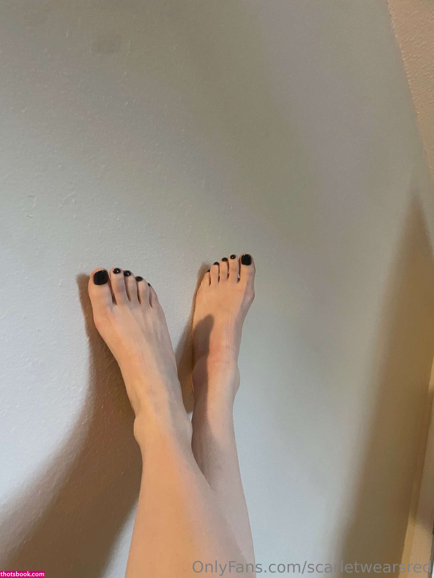 Scarlet Harper Photo #72