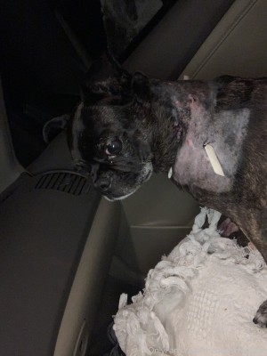 thedesperate0ne Photo #114