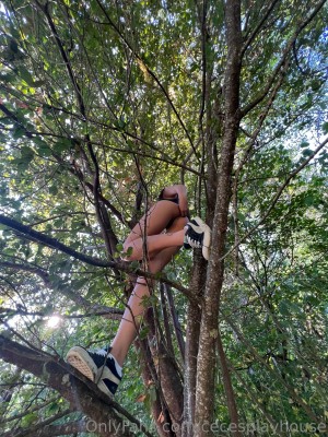 cecesplayhouse Photo #258