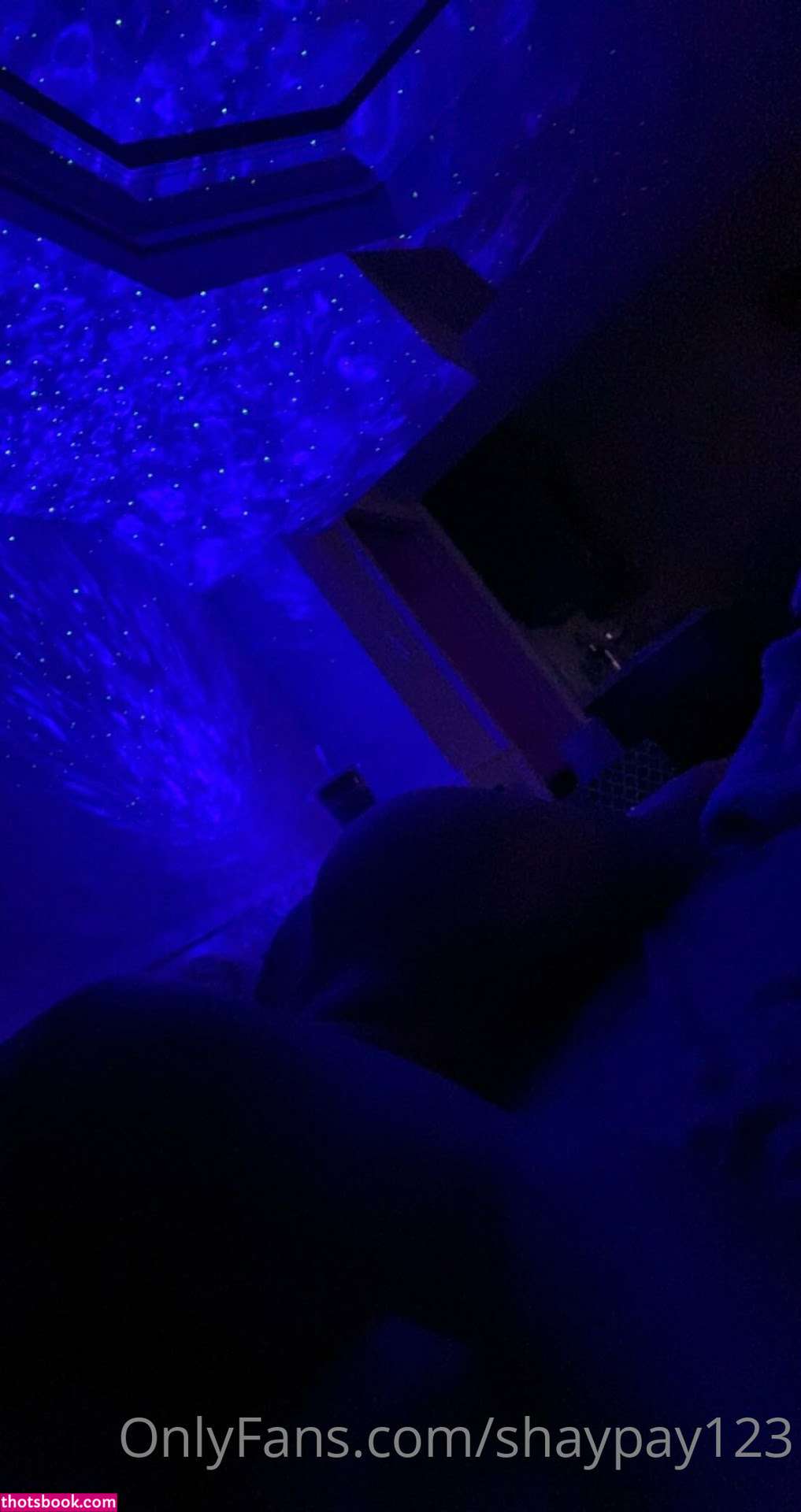 Shayna Laliberte Photo #40