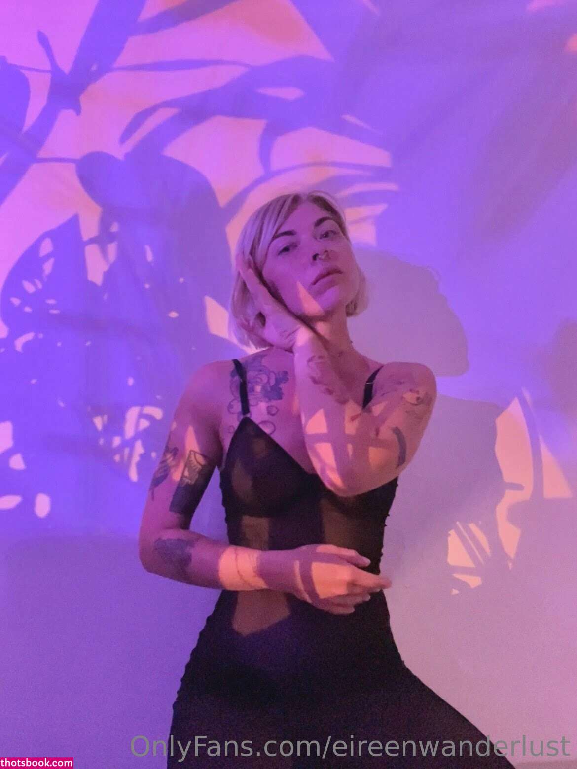 Panettonevirginia Photo #64